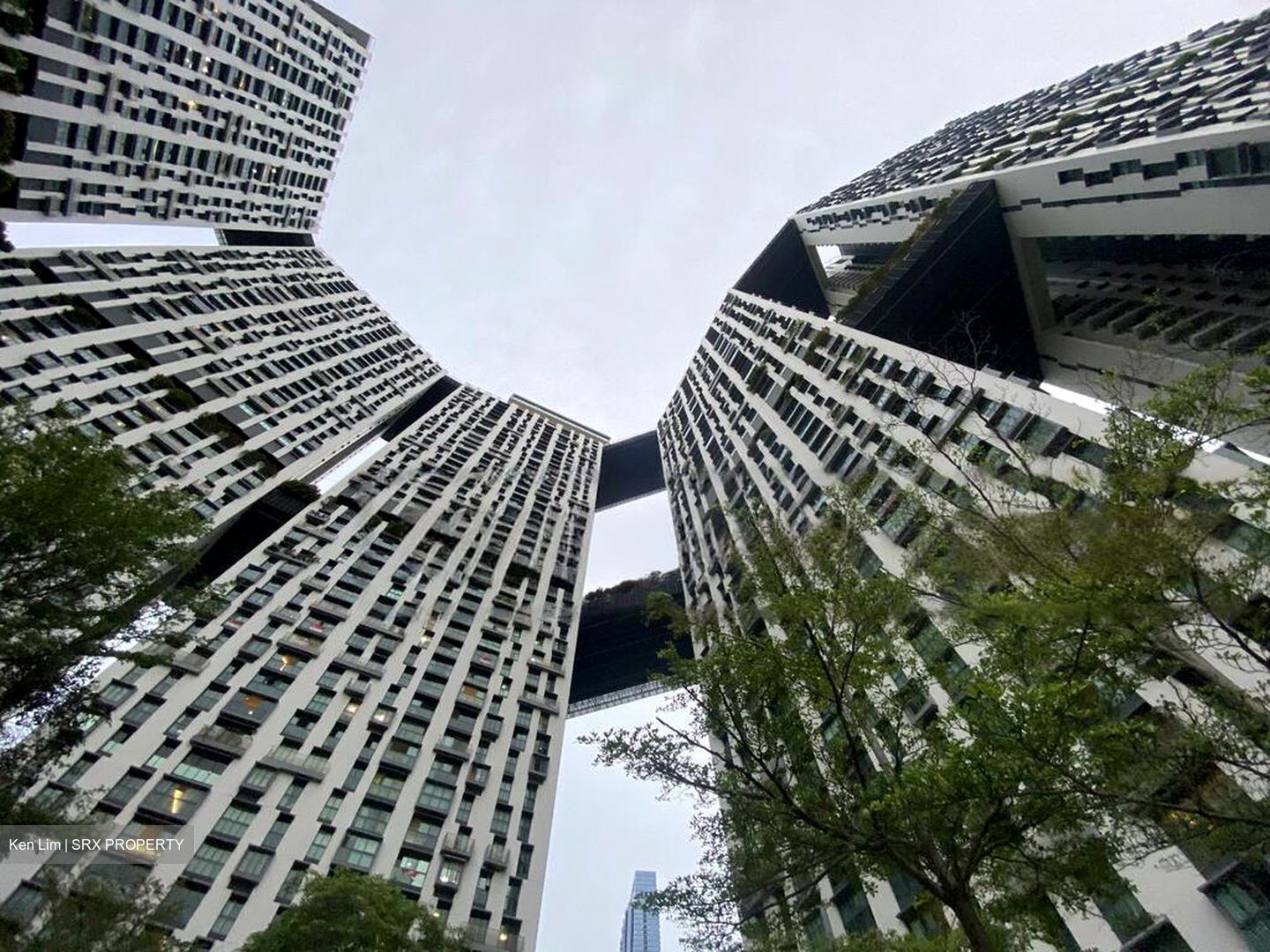 Blk 1E The Pinnacle@Duxton (Bukit Merah), HDB 4 Rooms #438573401